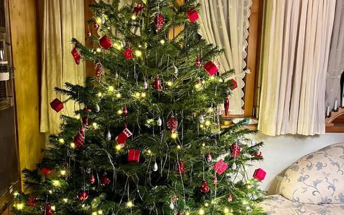 Fotowettbewerb: Zeig uns Deinen Christbaum 2022