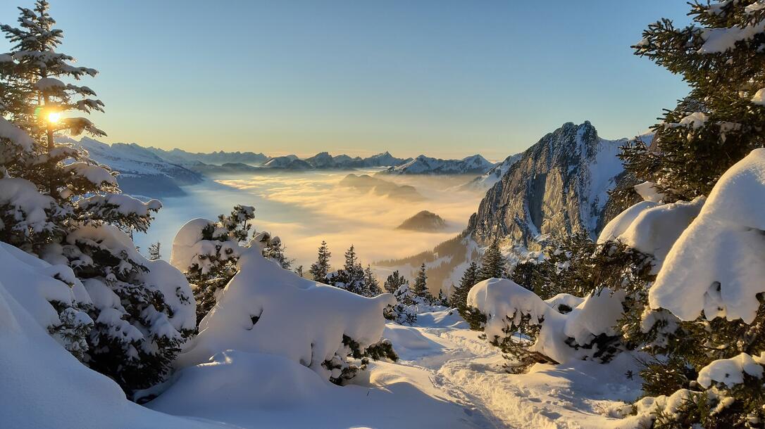 Blick vom Gulmen auf Wildhaus