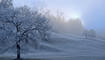 Winter in Ruggell