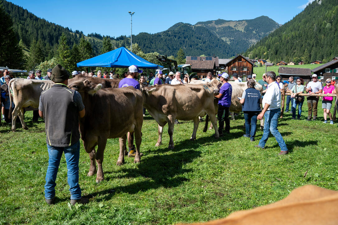 Stäger Breemimarcht, im Steg (20.09.2025)