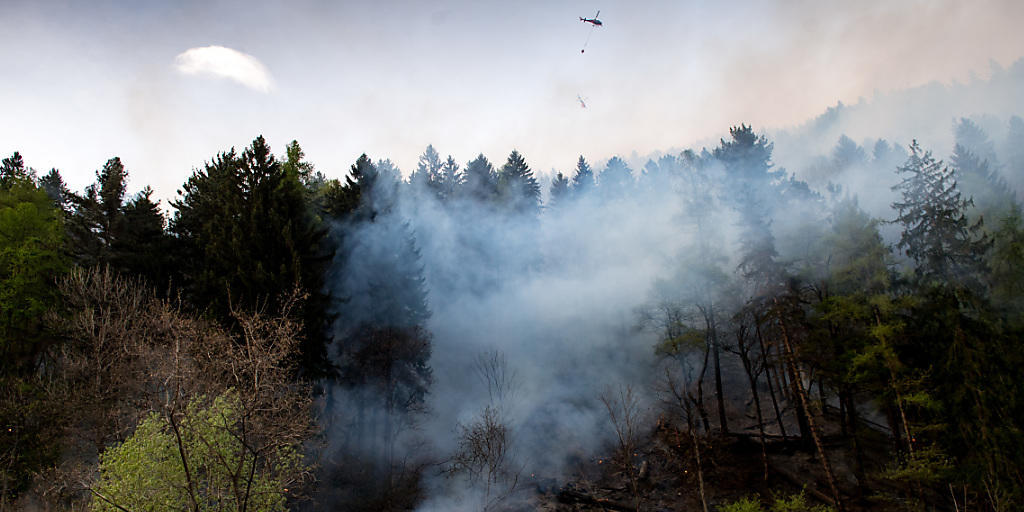 Im Tessin ist am Dienstag die höchste Waldbrandgefahrenstufe erreicht worden. Bereits letzte Woche mussten Löschhelikopter zu einem Brand bei Faido TI ausrücken. Im Tessin ist am Dienstag die höchste Waldbrandgefahrenstufe erreicht worden. Bereits letzte Woche mussten Löschhelikopter zu einem Brand bei Faido TI ausrücken.