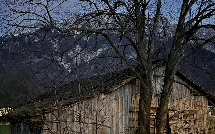 Mystische Stimmung im Schaaner Riet