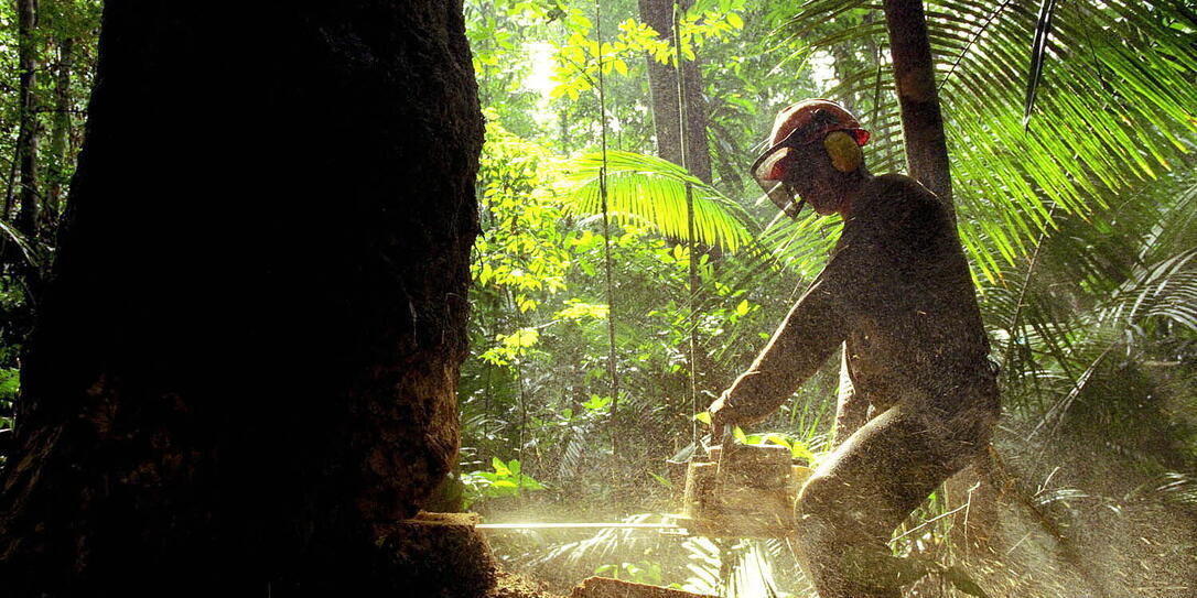 Deforestation in the Amazon	