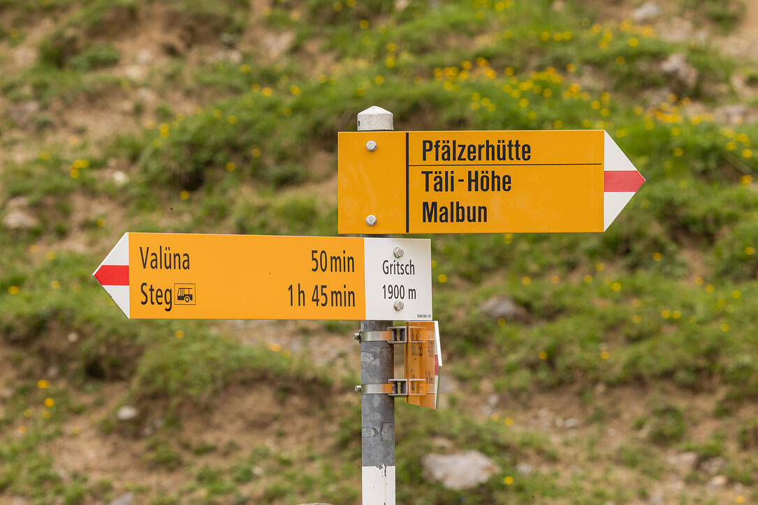 Wanderung: Steg - Alpeti - Pfälzerhütte - Malbun