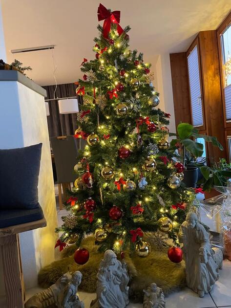 Fotowettbewerb: Zeig uns Deinen Christbaum 2022