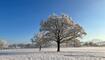 Winterwunderland Liechtenstein (03.12.23)