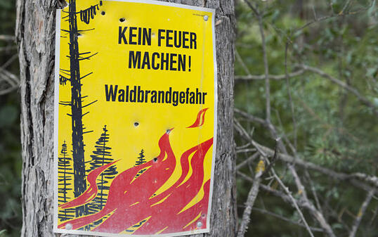 HITZE, FEUERVERBOT, VERBOT, WARNUNG, WALDBRANDGEFAHR, WARNSCHILD, BAUMSTAMM,