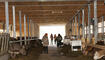 SPOT: Tage der offenen Stalltore, Triesen