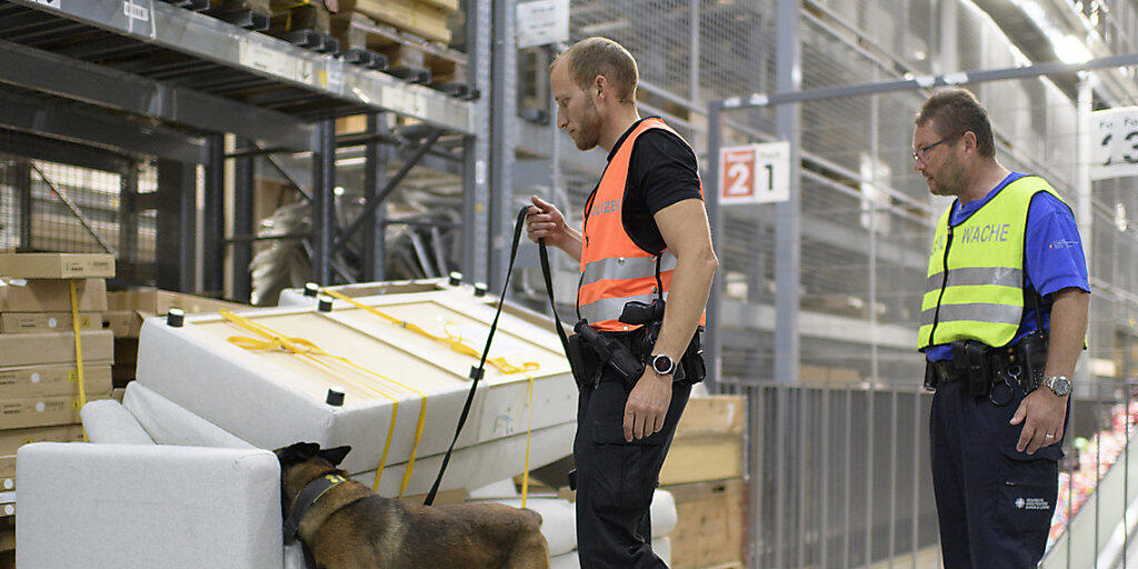 Schnüffler im Dienst der Grenzwacht und der Polizei: Ein Spürhund sucht in den Lagerhallen des Möbelhauses Ikea in St. Gallen nach Sprengstoff.