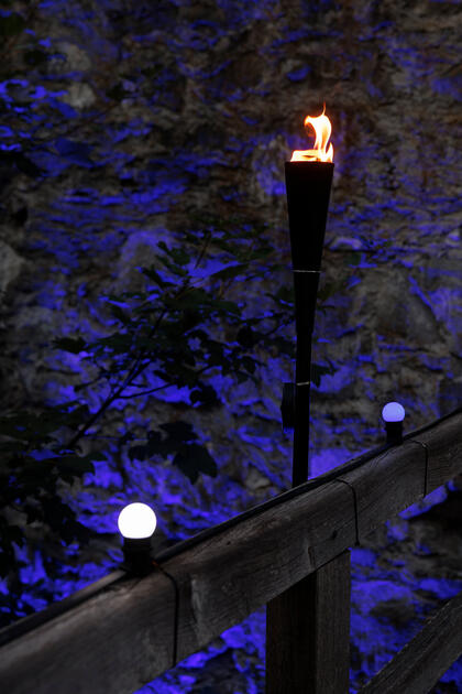 The Princely Liechtenstein Tattoo in Schellenberg