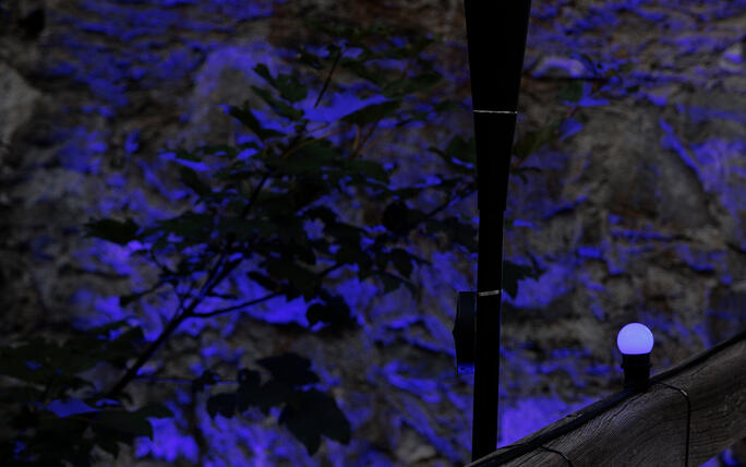 The Princely Liechtenstein Tattoo in Schellenberg