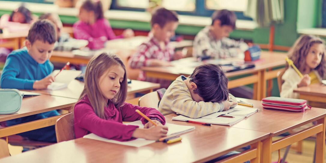 Elementary student napping in a classroom.
