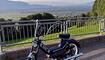 Die Kolbafr&auml;ser Schellenberg