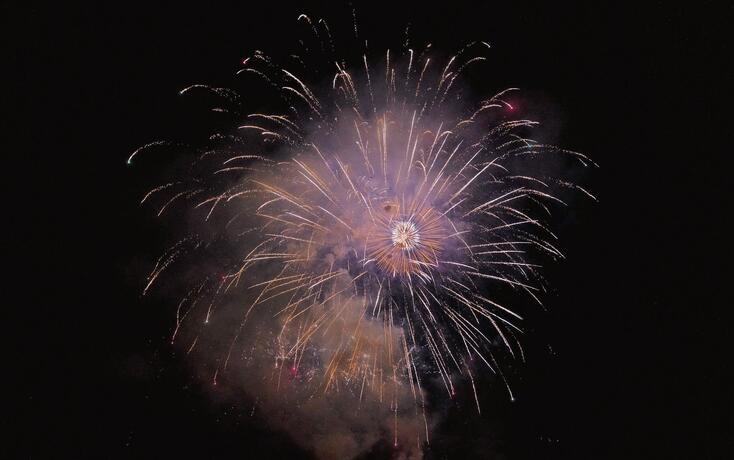 Staatsfeiertag in Vaduz