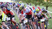 Schaan Proffix Swiss Bike Cup