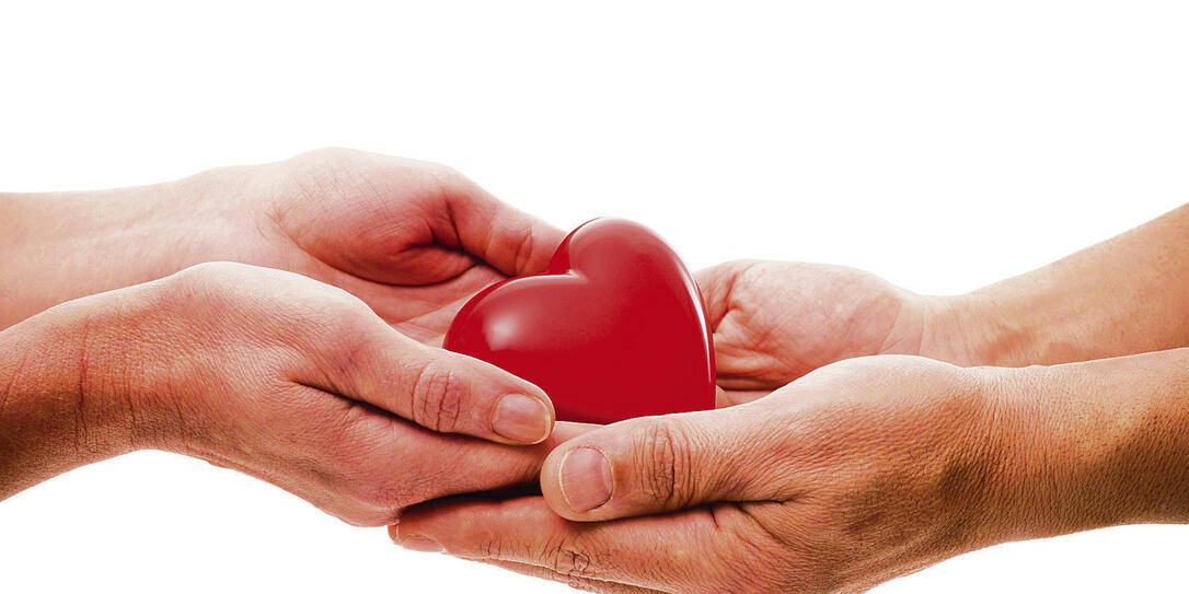 Heart at the human hands Heart at the human hands