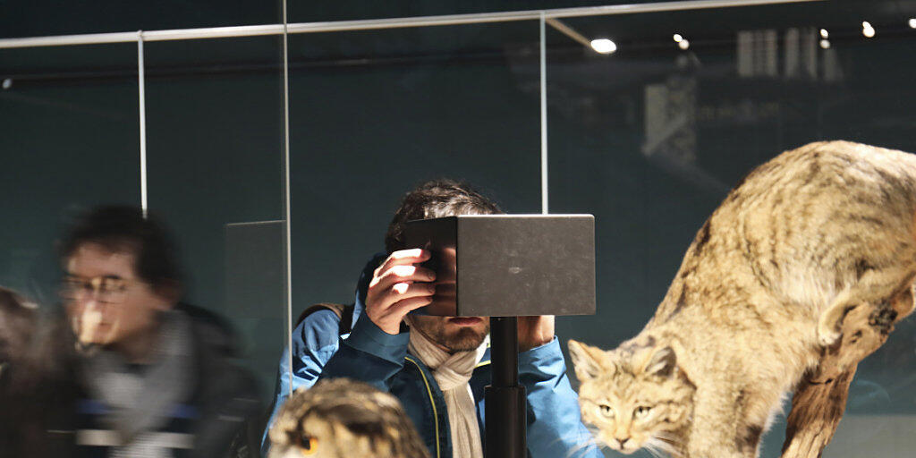 Auch das Naturhistorische Museum Basel lockte während der Museumsnacht zahlreiche Besucher an.