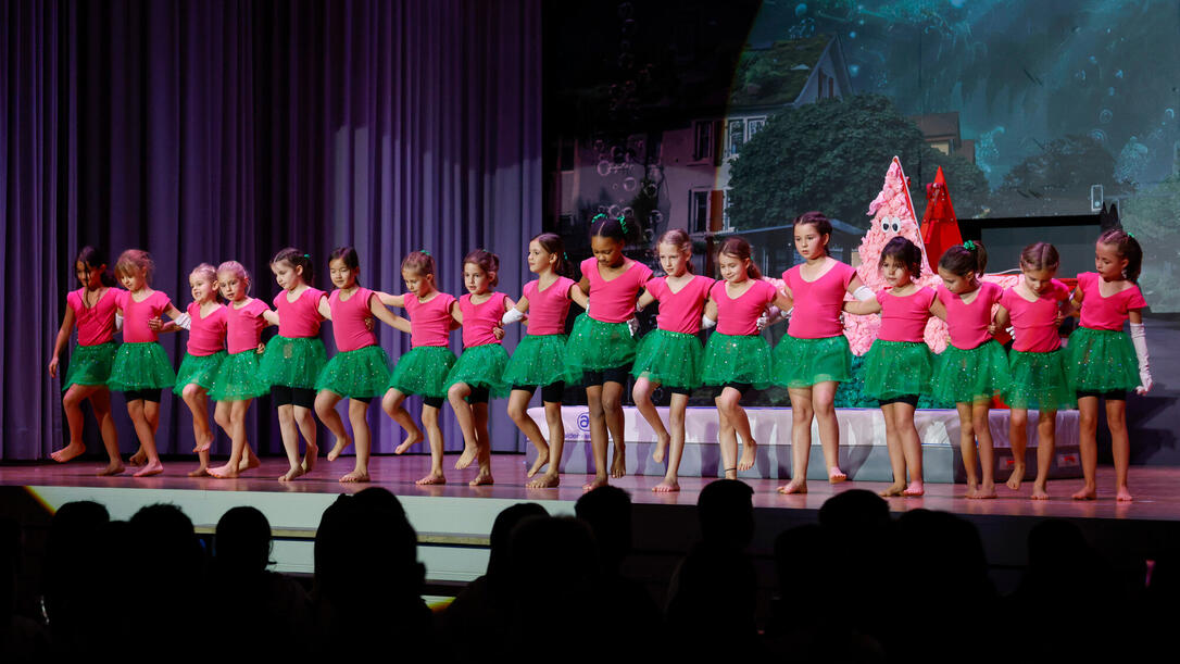 Turnunterhaltung STV Oberriet-Eichenwies, St. Gallen, Schweiz