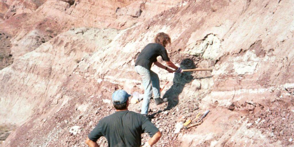 Grabung im Junggar-Becken in Nordwest-China im Jahr 2001: Fundstelle des Dinosaurierknochens mit Bissspuren. (Andreas Matzke, Uni Tübingen) Grabung im Junggar-Becken in Nordwest-China im Jahr 2001: Fundstelle des Dinosaurierknochens mit Bissspuren. (Andreas Matzke, Uni Tübingen)