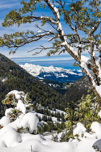 Erster Schnee in Liechtenstein