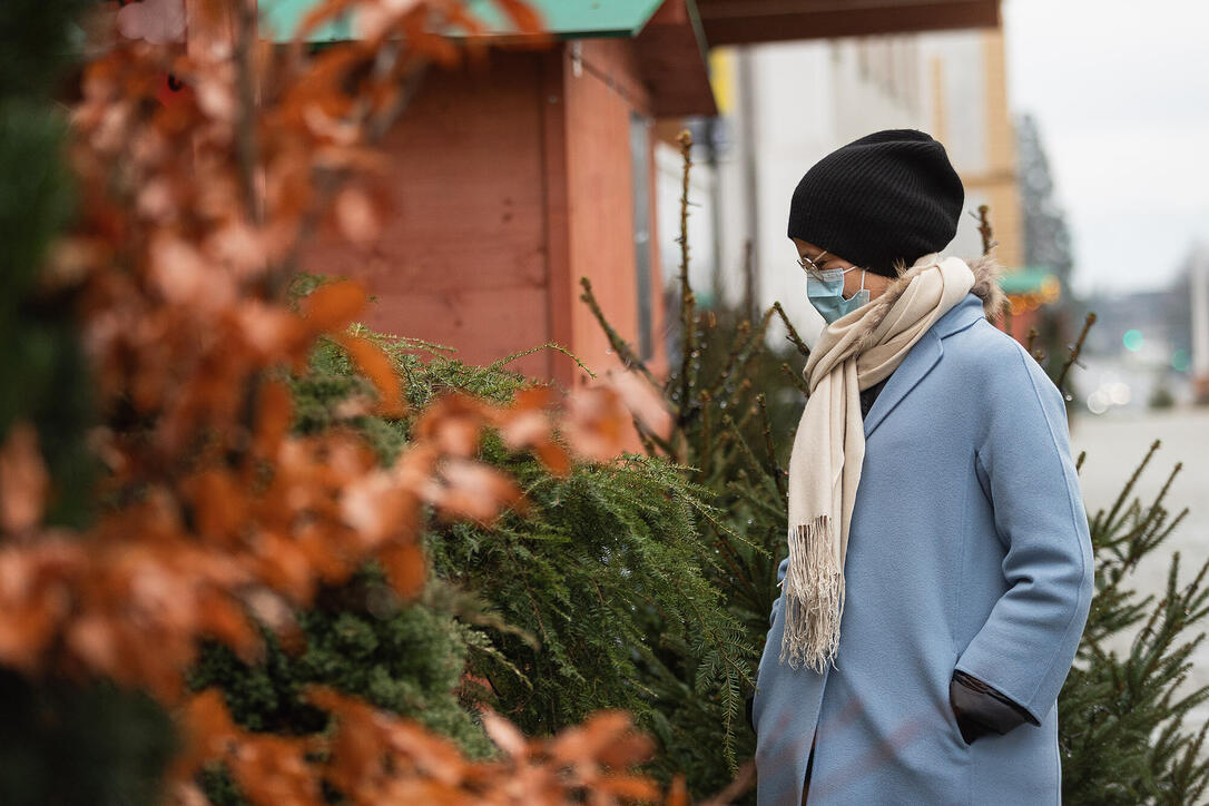 Vaduzer Weihnachts-Städtle