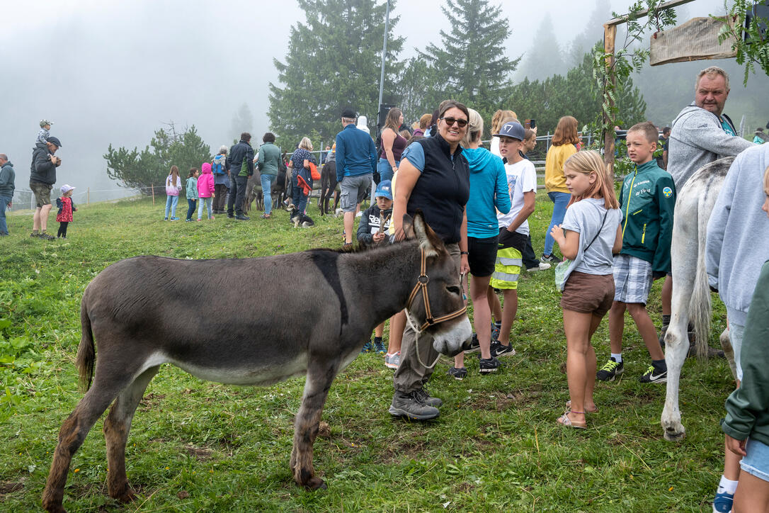 Eselfest in Malbun