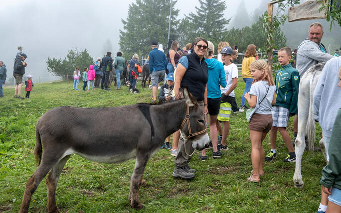 Eselfest in Malbun