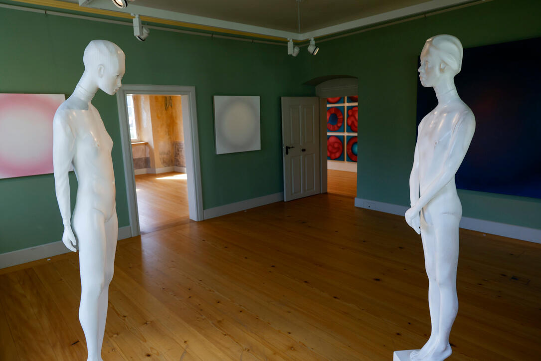 Vernissage &laquo;Interferenzen&raquo; mit Werken von Michael Tolloy und Patrick Kaufmann im Alten Pfarrhof  Balzers.