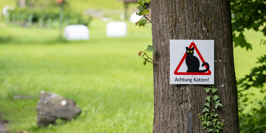 240524 Baustelle Umfahrung Vaduz, Bild aufgenommen in Vaduz am 24.05.2024
- Schild, Warnung, Verkehrsschild, Verkehrstafel, Tafel