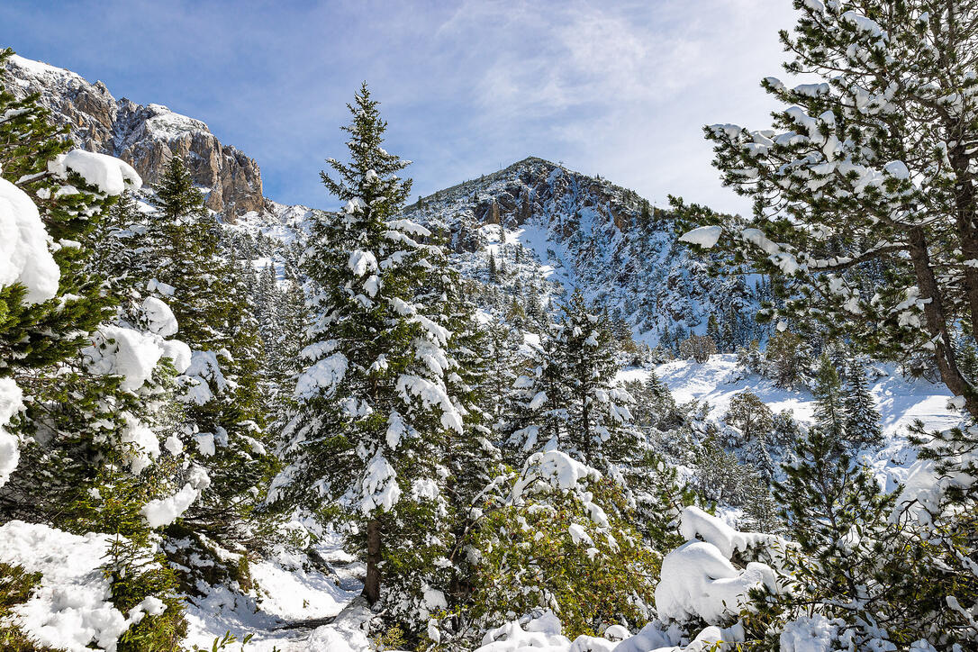 Erster Schnee in Liechtenstein