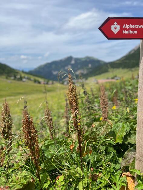 Alpherzweg Malbun - Leserwettbewerb 2025
