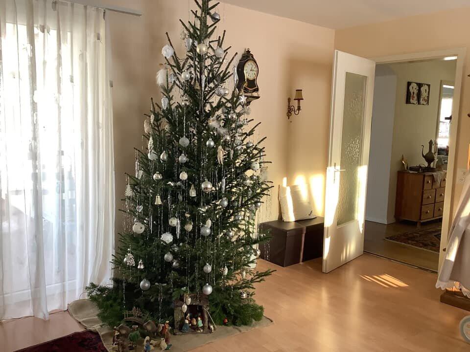 Fotowettbewerb: Zeig uns Deinen Christbaum 2022