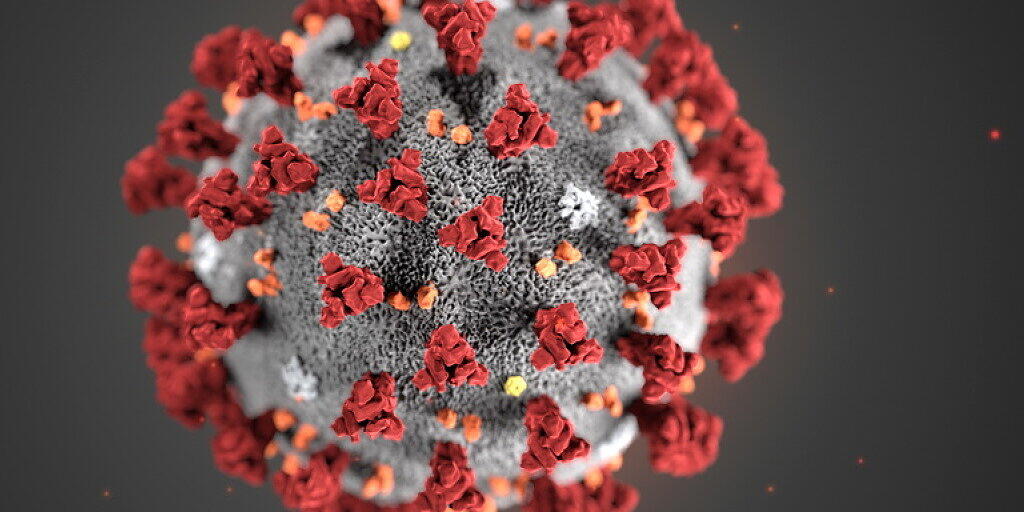 Das Coronavirus breitet sich in der Schweiz weiter aus: Bis am frühen Samstagabend waren 18 Infektionen definitiv bestätigt. (Archivbild) Das Coronavirus breitet sich in der Schweiz weiter aus: Bis am frühen Samstagabend waren 18 Infektionen definitiv bestätigt. (Archivbild)