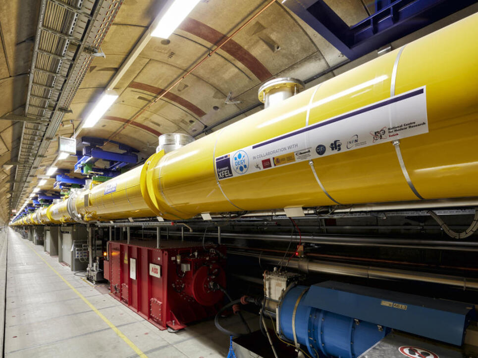 Mit dem Röntgenlaser European XFEL sollen Detailaufnahmen von Molekülen, Zellen und Viren möglich werden. (Archiv)