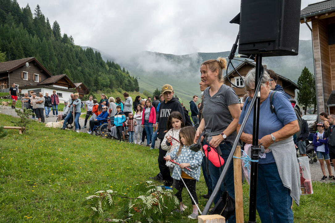 Eselfest in Malbun