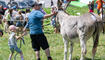 Eselfest in Malbun