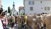 Alpabfahrt in Mels