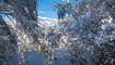 231203 Winter Impressionen in Balzers, Triesen, Triesenberg - Schnee, Burg Gutenberg, See, Triesenberg, UFL