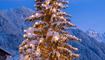 Lichterglanz in Triesenberg (03.12.2023)