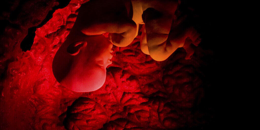 Embryos k&ouml;nnen im Uterus selbst dann noch von Nikotin gesch&auml;digt werden, wenn die Mutter Monate vor Beginn der Schwangerschaft aufgeh&ouml;rt hat zu rauchen. (Symbolbild)