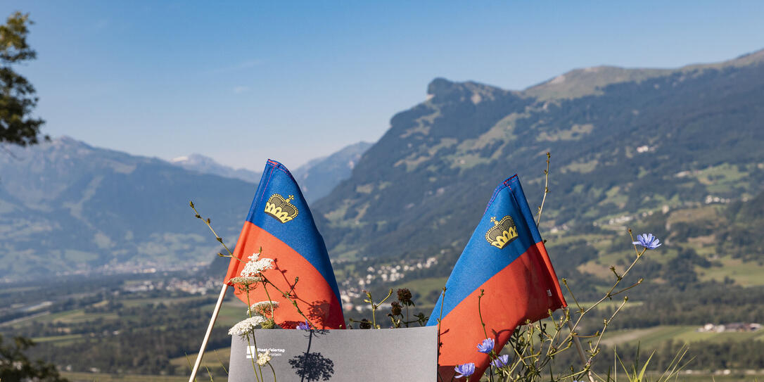 Liechtenstein Fahne