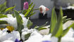 Schnee im Frühling