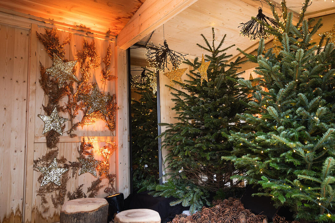 Vaduzer Weihnachts-Städtle