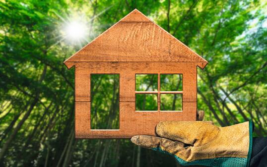 Hand with Work Glove Holding Holding a Small Wooden House in a Forest
