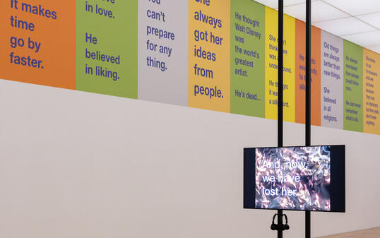 PK Tony Cokes, Vaduz