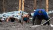 Lie Mud Run 2024