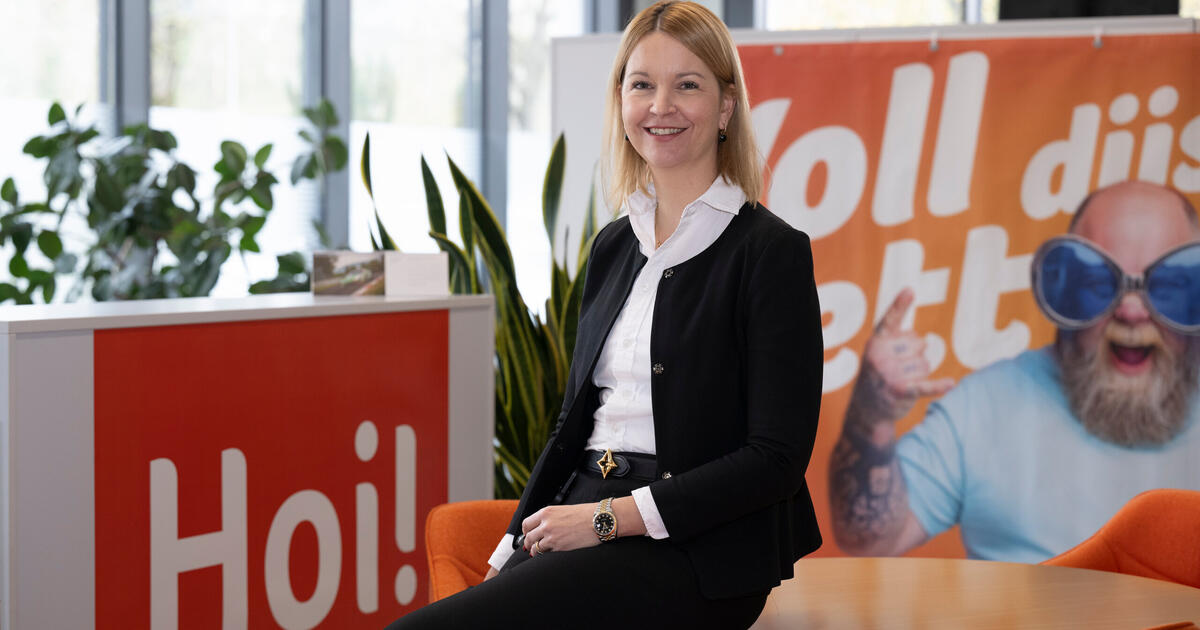 2x Niederhalteklemmen Für 3018 CNC Fräser - Schnelles Spannen Von Werkstücken