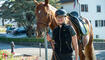 Tiersegnung in Gamprin (03.10.2026)