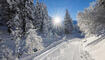 Winter in Steg