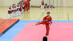 Taekwondo Show und Schnuppertraining in Feldkirch
